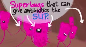 superbugs