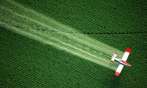 pesticide contamination