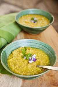 the organic gourmet
