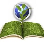 How to Write a Clear Environmental Policy for Your Company