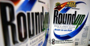 monsanto roundup