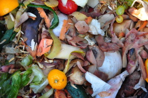 solid waste