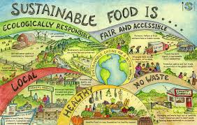 sustainable food
