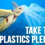 Plastic bag ban