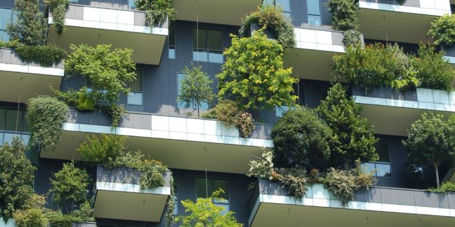 Eco Friendly and Sustainable Green Building