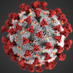 Coronavirus (COVID-19) and WhosGreenOnline.com
