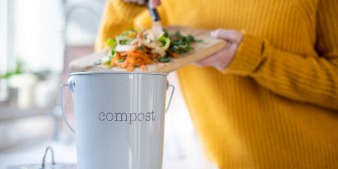 Creating the Best At-Home Composting System